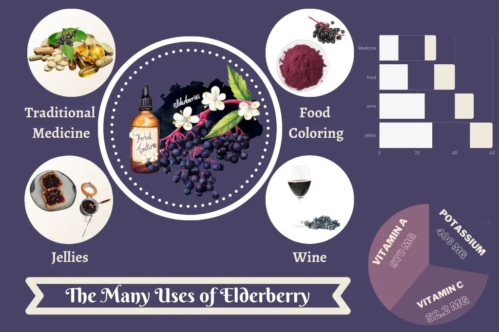 Uses of Elderberry
