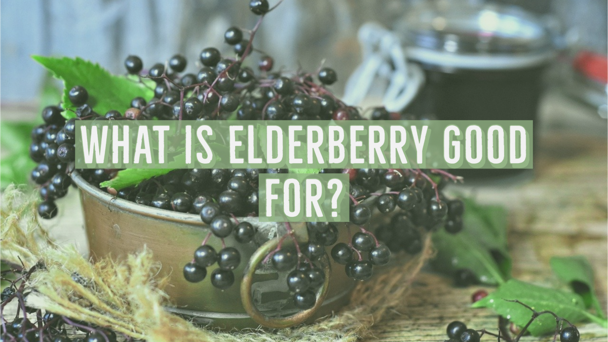 What is Elderberry Good for