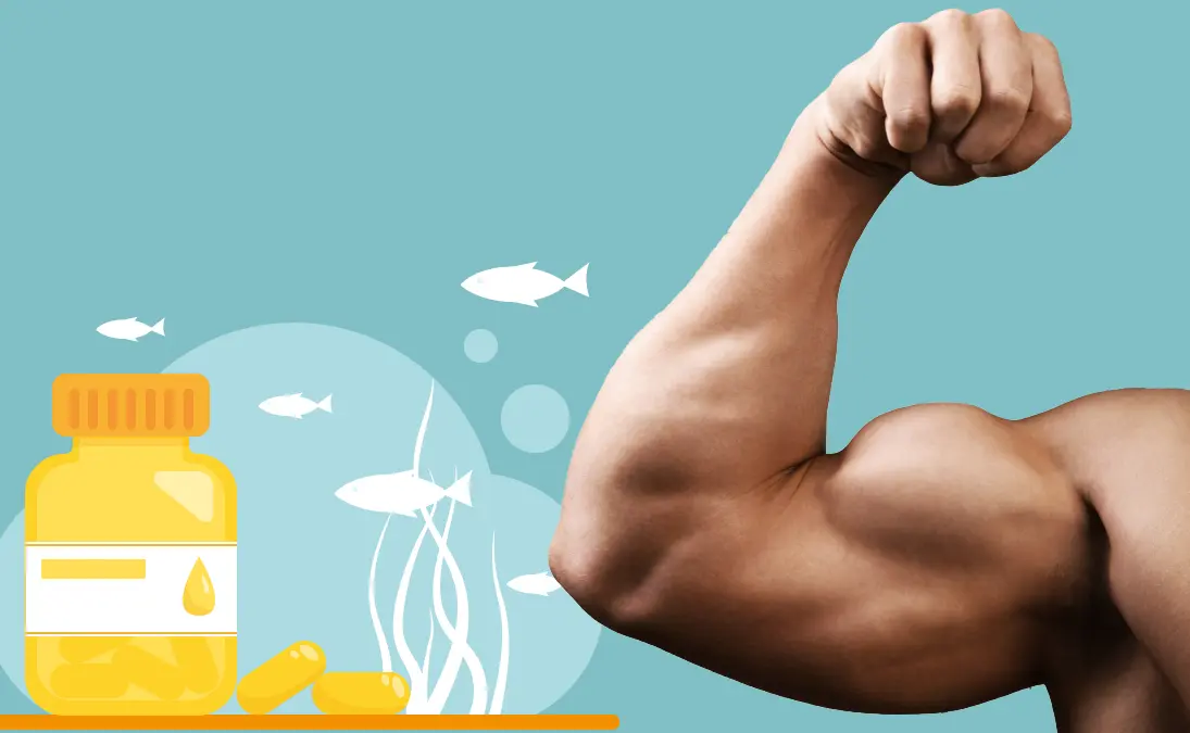 Which Is The Best Fish Oil For Bodybuilding?