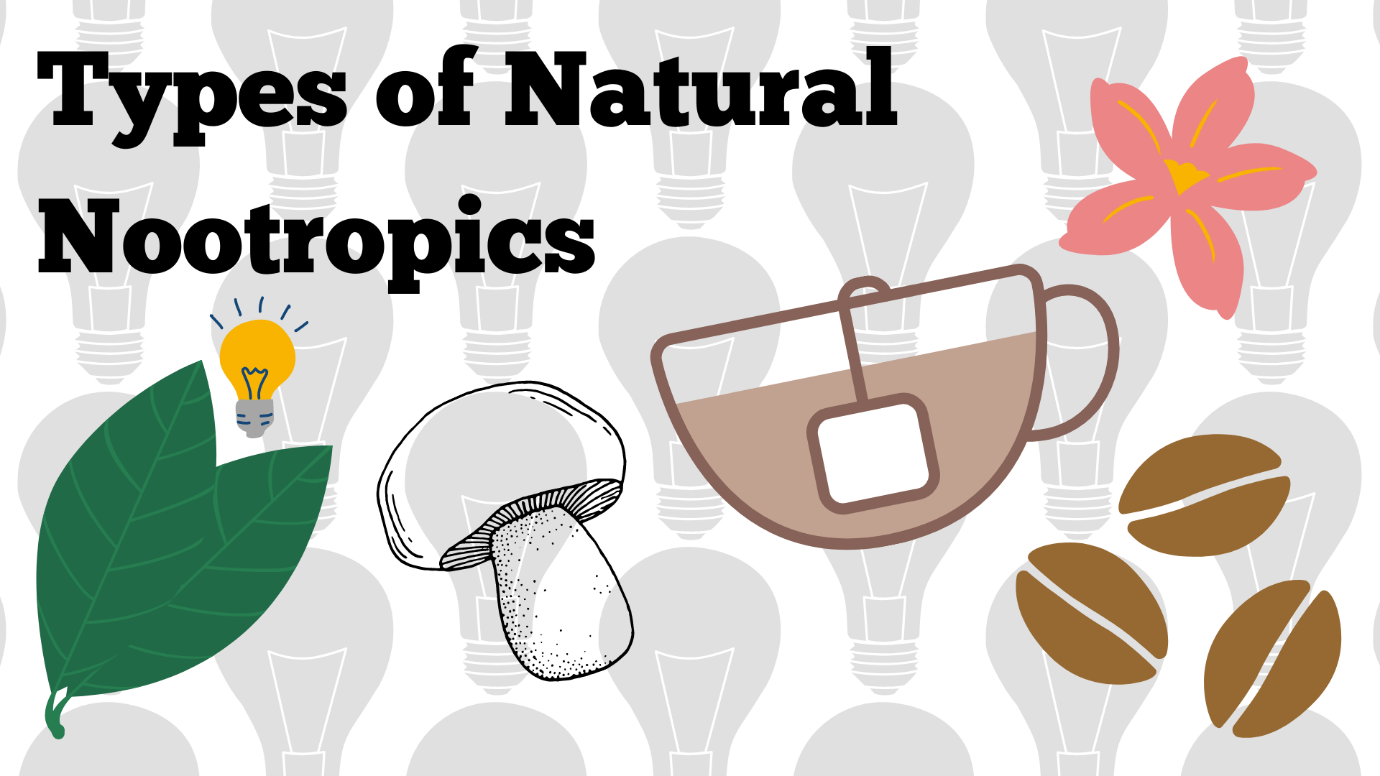 Types of Natural Nootropic Supplements