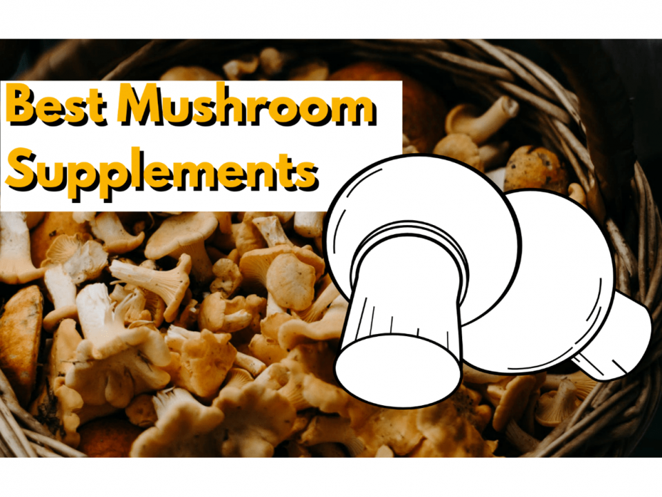 Best Mushroom Supplements