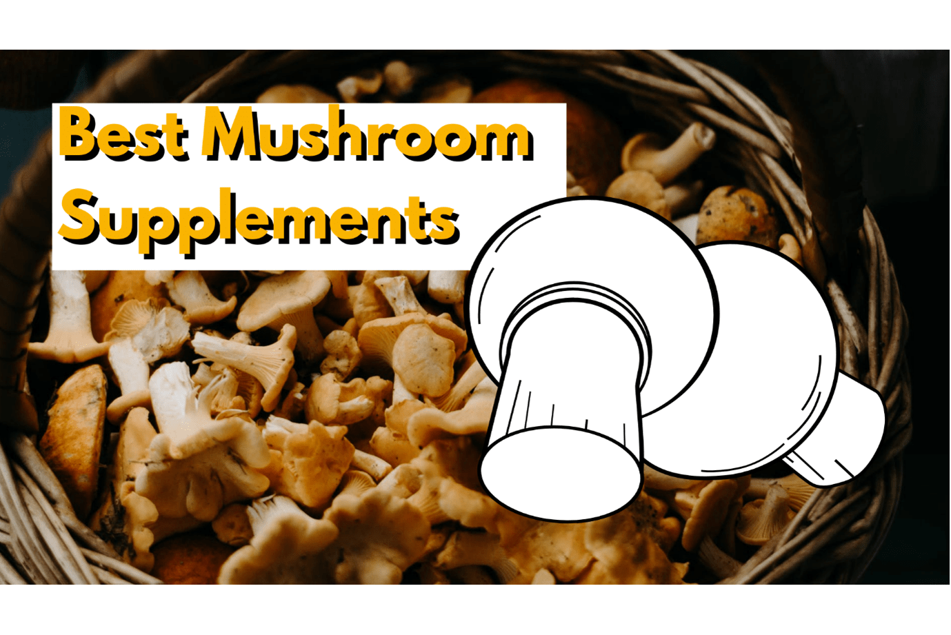 Best Mushroom Supplements