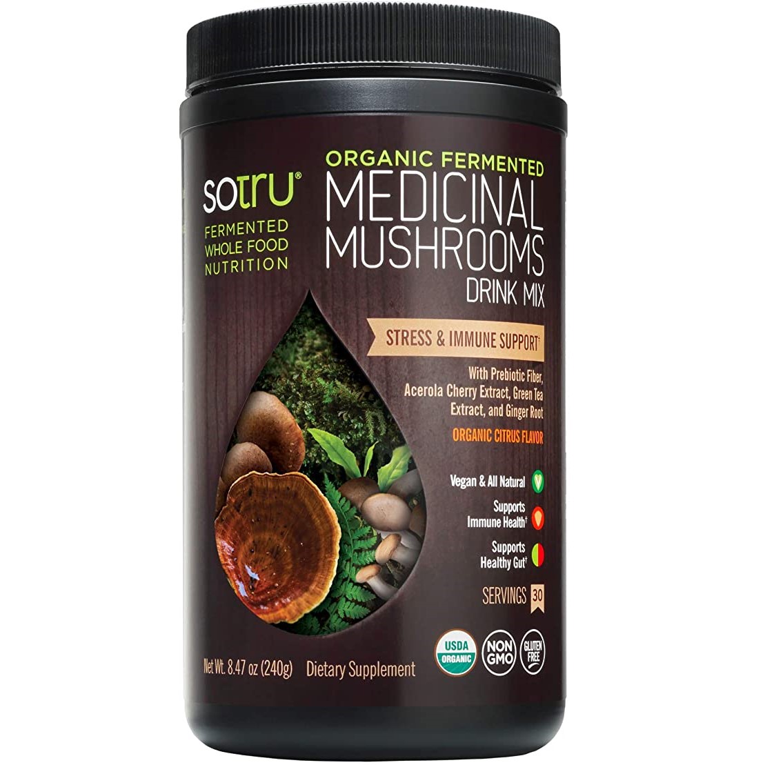 SoTru Medicinal Mushrooms Drink Mix