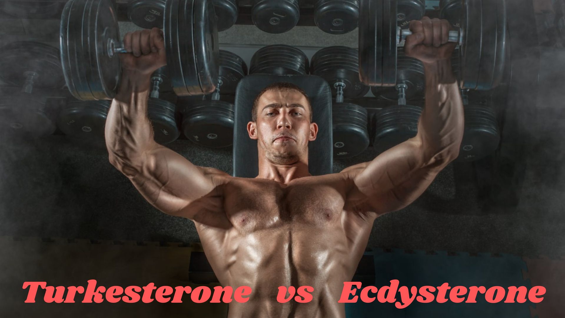Turkesterone vs Ecdysterone