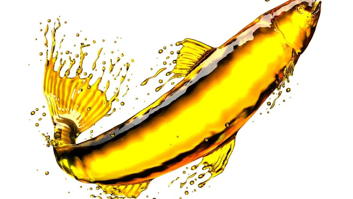 Best fish oil supplements