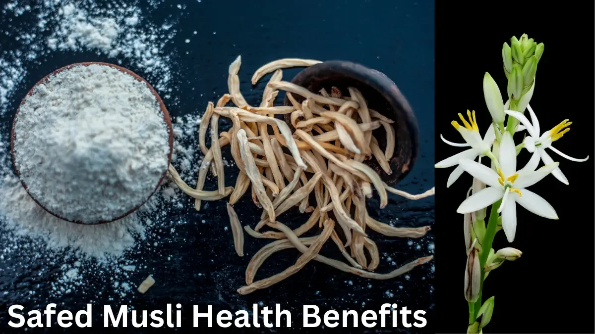 Safed Musli Health Benefits