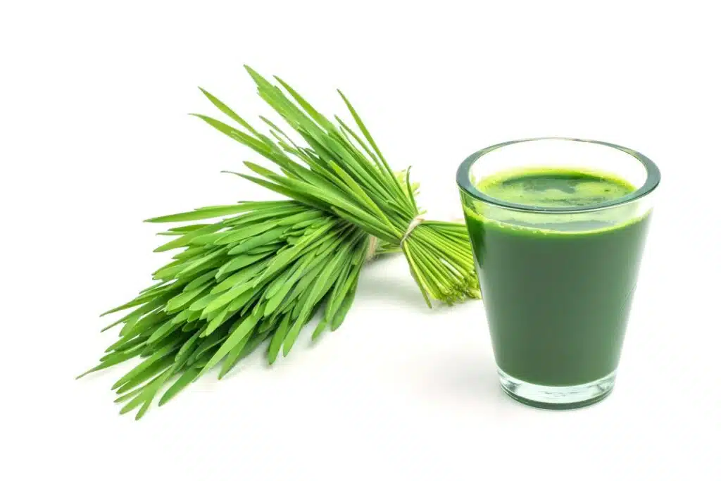 What is wheatgrass