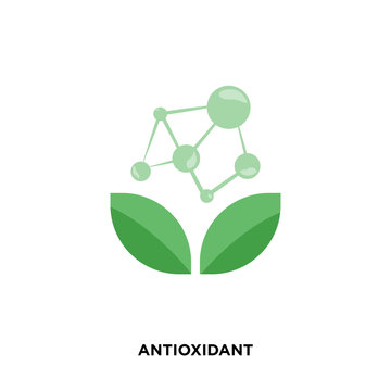 Antioxidant and Anti-Inflammatory Properties