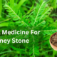 Chanca Piedra For Kidney Stone