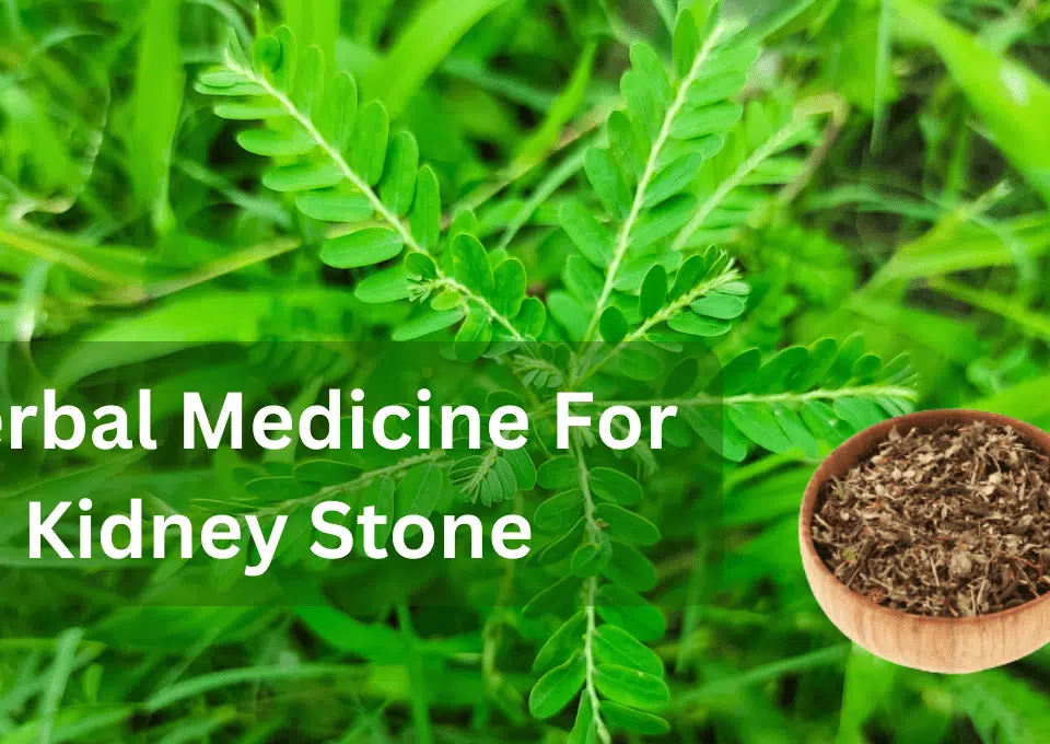 Chanca Piedra For Kidney Stone