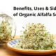 Health Benefits of Alfalfa 101