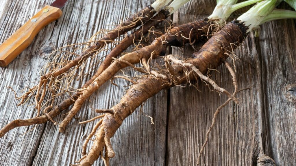 Burdock Root Benefits For The Liver